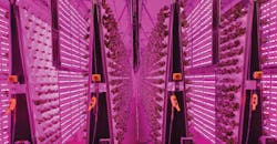 The &ldquo;Air Grown&rdquo; vertical system at Living Greens Farm reduces the need for land, energy, water, and space. In about 4,000 square yards, it produces the same quantity of food produced on 100 acres of conventional agriculture.