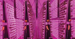 The “Air Grown” vertical system at Living Greens Farm reduces the need for land, energy, water, and space. In about 4,000 square yards, it produces the same quantity of food produced on 100 acres of conventional agriculture. The “Air Grown” vertical system at Living Greens Farm reduces the need for land, energy, water, and space. In about 4,000 square yards, it produces the same quantity of food produced on 100 acres of conventional agriculture.