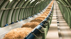 Beumermain1 Beumermain1