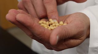 Soybeans 6044037589f7a