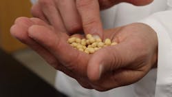 Soybeans 6044037589f7a 60632eb6e7285 Soybeans 6044037589f7a 60632eb6e7285