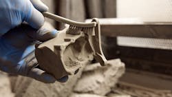 Selective 3 D Printing Image 616f1c8bad5a4 Selective 3 D Printing Image 616f1c8bad5a4