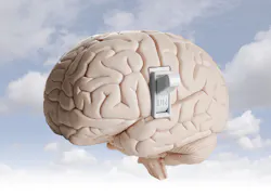 Brain Switch Brain Switch