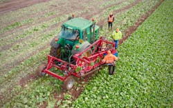 Prototype lettuce harvesting robot of Agri-Epicenter (U.K.).