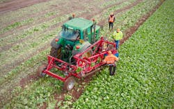 Prototype lettuce harvesting robot of Agri-Epicenter (U.K.). Prototype lettuce harvesting robot of Agri-Epicenter (U.K.).