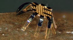 Tiny Robot Crab 628e7c0e7e644