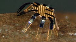 Tiny Robot Crab 628e7c0e7e644 6297d5ab06268 Tiny Robot Crab 628e7c0e7e644 6297d5ab06268