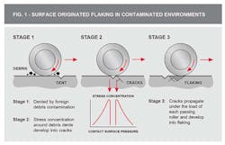 surface flaking failure mode surface flaking failure mode