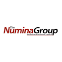 Numina Group Logo