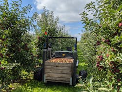 The “AurOrA” harvest assistant will navigate through the rows of trees in an apple orchard and detect and pick up fruit boxes and transport them to a defined unloading point autonomously in the future. The “AurOrA” harvest assistant will navigate through the rows of trees in an apple orchard and detect and pick up fruit boxes and transport them to a defined unloading point autonomously in the future.