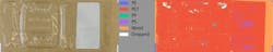 Chromasense-SWIR-image Chromasense-SWIR-image