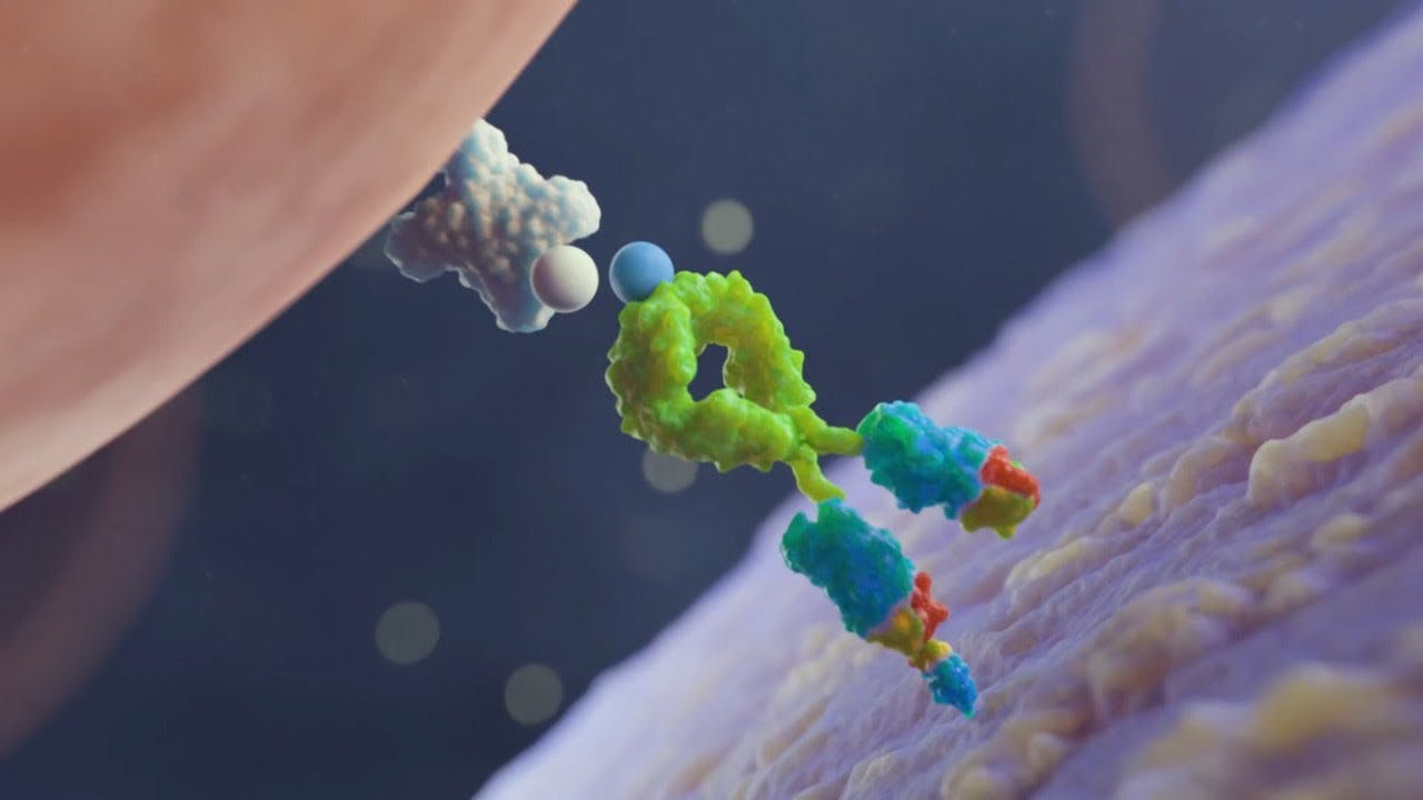 6571fb40cb89e8001e2fda75 Maxresdefault 4