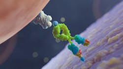 6571fb40cb89e8001e2fda75 Maxresdefault 4 6571fb40cb89e8001e2fda75 Maxresdefault 4