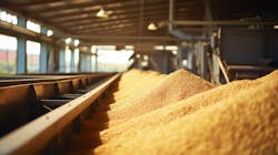 Conveyor Dust and Spillage: The Importance of Skirtboard Sealing Systems Conveyor Dust and Spillage: The Importance of Skirtboard Sealing Systems