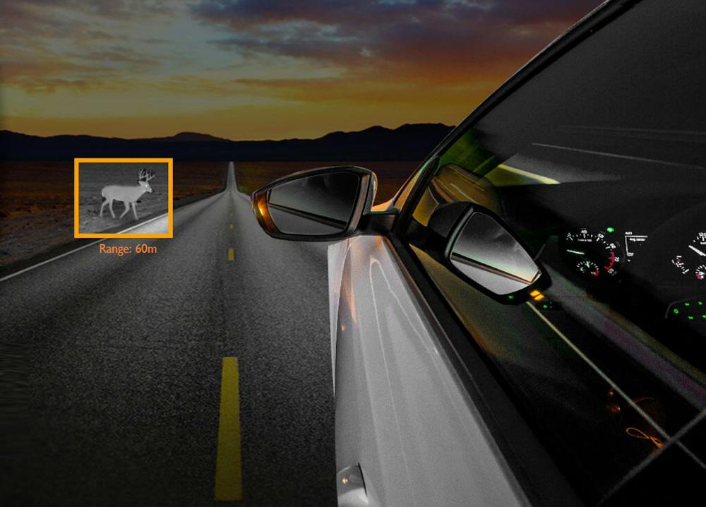 max028003owlainightvisiondear