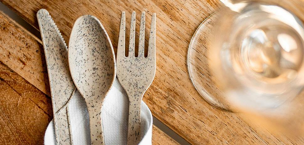 65aacc02df2302001e3561c3 Plantswitchcutleryontable