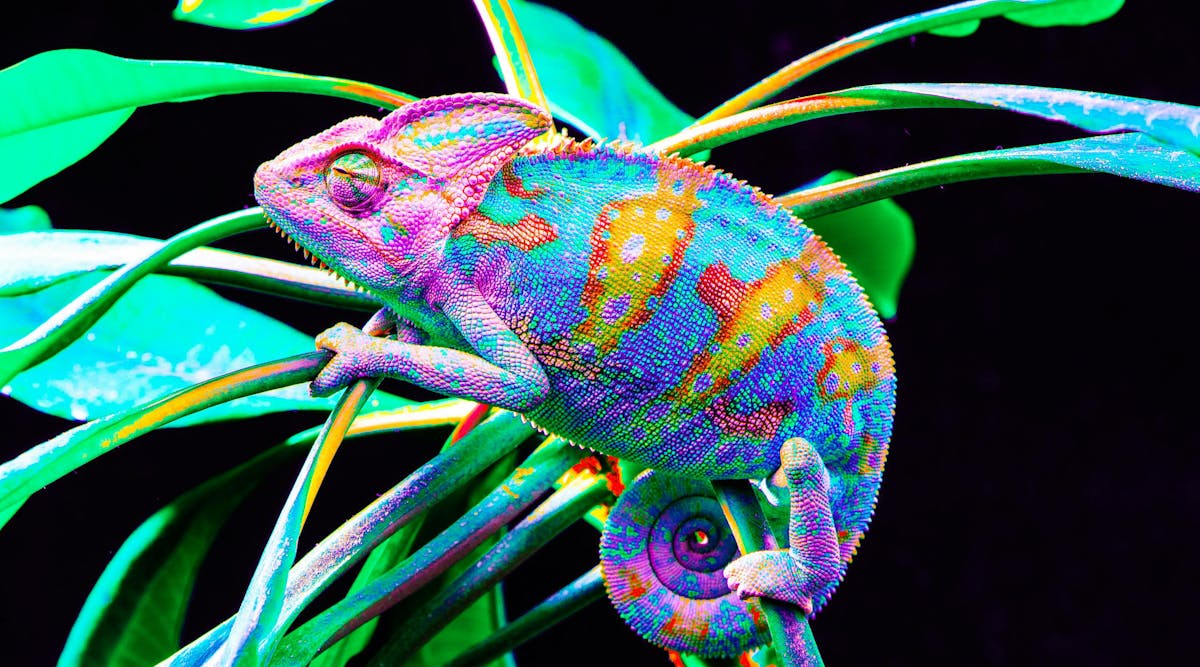 Fun Innovations Friday: Chameleon-Inspired 3D Printing Technique Uses One Ink to Print Different Colors, Including Red, Gold, and Green