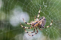 65e2086ad4f945001e26dd36 Dreamstime L 285543869 65e2086ad4f945001e26dd36 Dreamstime L 285543869