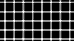 Figure 1: Humans are very good at inspection. We can use our senses and are quick to learn and adapt, but we can also be easily fooled. Try and count the black dots in this image. Figure 1: Humans are very good at inspection. We can use our senses and are quick to learn and adapt, but we can also be easily fooled. Try and count the black dots in this image.