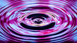 dreamstime_m_28829196