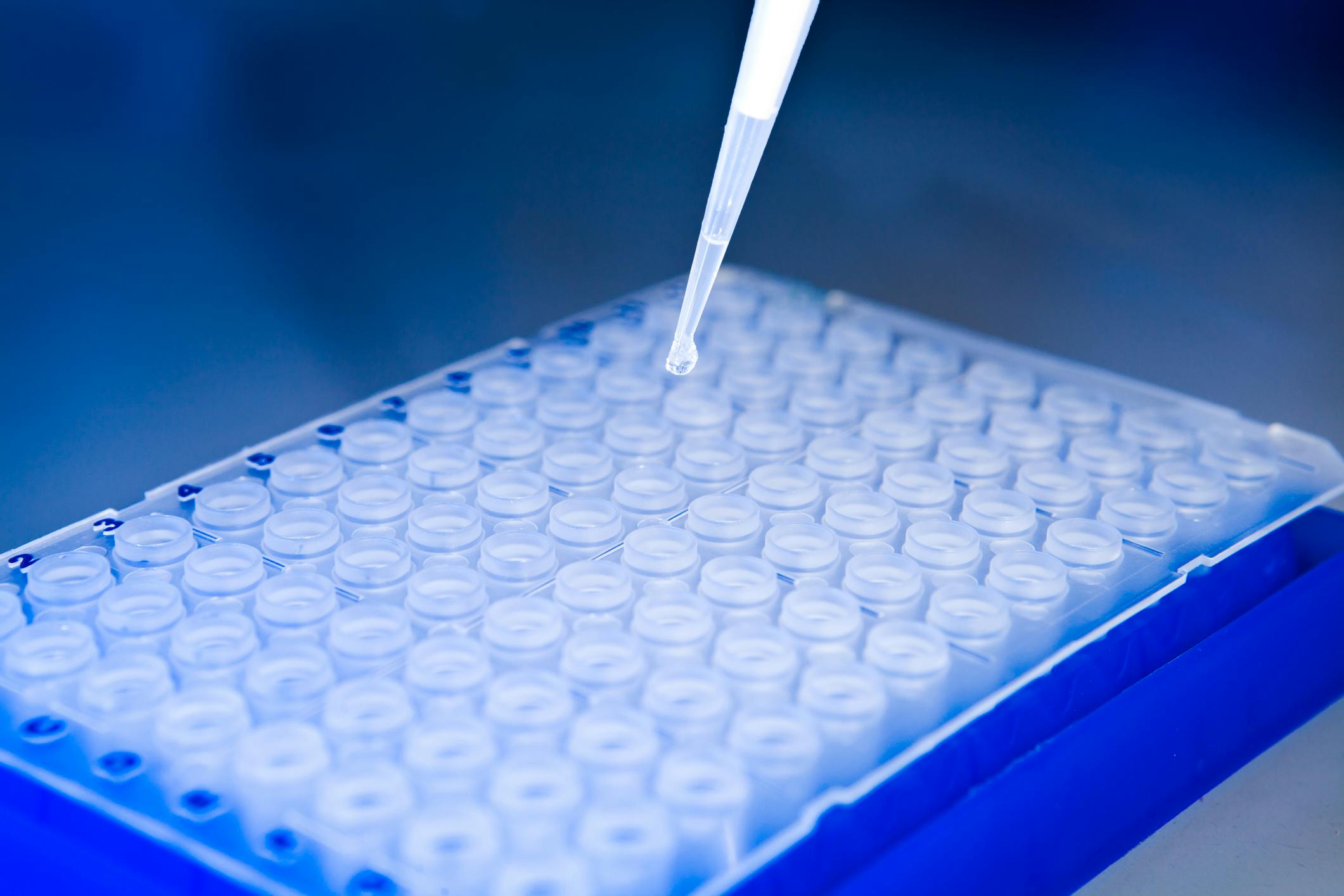 660f0cc45b7096001e441087 Dreamstime M 22940183