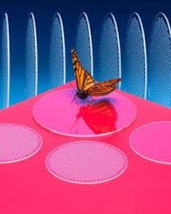 66671f6d94f10f000836ee7a 830 350 66671f6d94f10f000836ee7a 830 350