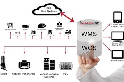 66672ddcc403780008472c54 830 350