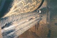 666733bbc403780008473669 830 350