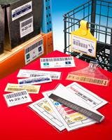 6667367974c1d40008e3d7ae 830 350