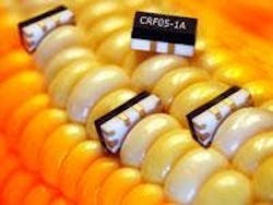 666737cc74c1d40008e3d924 830 350 666737cc74c1d40008e3d924 830 350