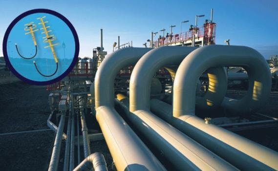 6667388874c1d40008e3da53 830 350