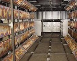 666739f974c1d40008e3dcd5 830 350 666739f974c1d40008e3dcd5 830 350