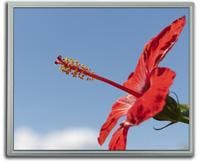 66673a41c40378000847403c 830 350