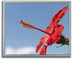 66673a41c40378000847403c 830 350 66673a41c40378000847403c 830 350