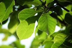 66674b2074c1d40008e3f9e6 830 350