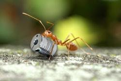 66674d98c403780008476117 830 350 66674d98c403780008476117 830 350