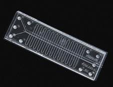 66674ef2c403780008476350 830 350