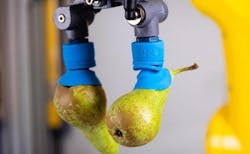 6667553b94f10f0008374a67 830 350 6667553b94f10f0008374a67 830 350