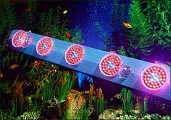 666755d2c403780008476edd 830 350