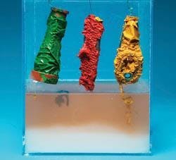 6667572e74c1d40008e40d7a 830 350 6667572e74c1d40008e40d7a 830 350