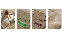 66675d19c4037800084779c1 830 350 66675d19c4037800084779c1 830 350