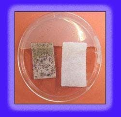 66675da8c403780008477ab6 830 350 66675da8c403780008477ab6 830 350