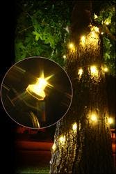 66675f6474c1d40008e41a75 830 350