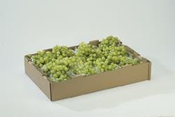 66676006c403780008477ecb 830 350