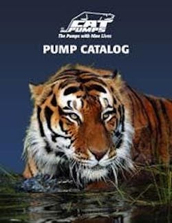 666763e8c40378000847853b 830 350 666763e8c40378000847853b 830 350