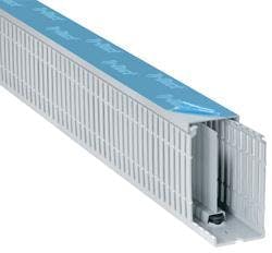 666768f774c1d40008e429f5 830 350 666768f774c1d40008e429f5 830 350