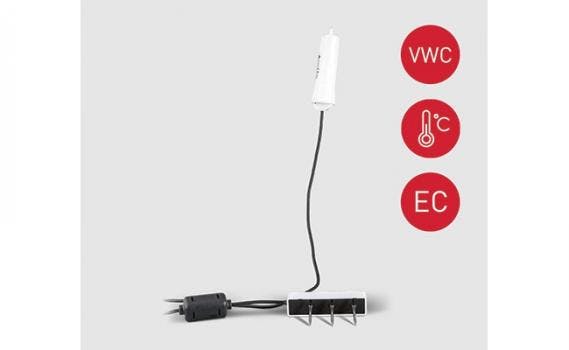 6667706674c1d40008e4359e 830 350