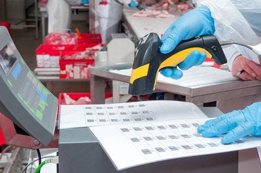 6667735e74c1d40008e43a33 830 350