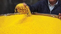 6667749674c1d40008e43bea 830 350 6667749674c1d40008e43bea 830 350