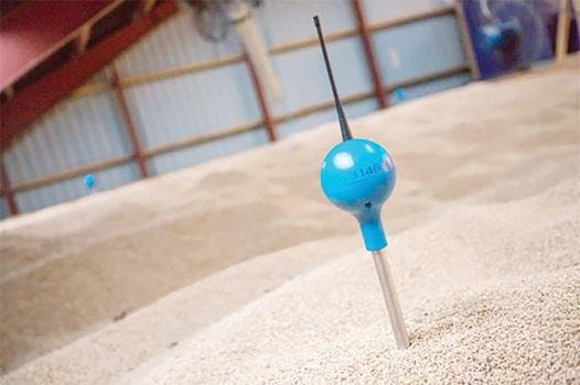 666775d5c40378000847a19c 830 350